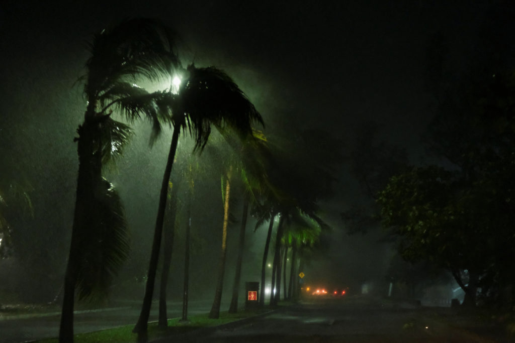 Palm trees bent by strong winds and heavy rain during the landfall of Hurricane Helene to a coast.