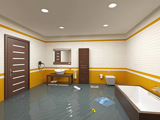 Bathroom flood in residential home with standing water covering entire floor.