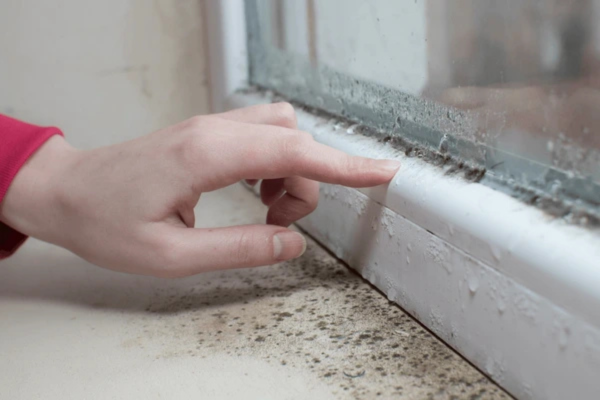 Visible signs of mold caused by water damage on a window frame.