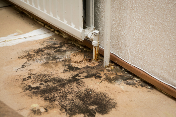 Mold growth on the floor under a radiator caused by water damage.