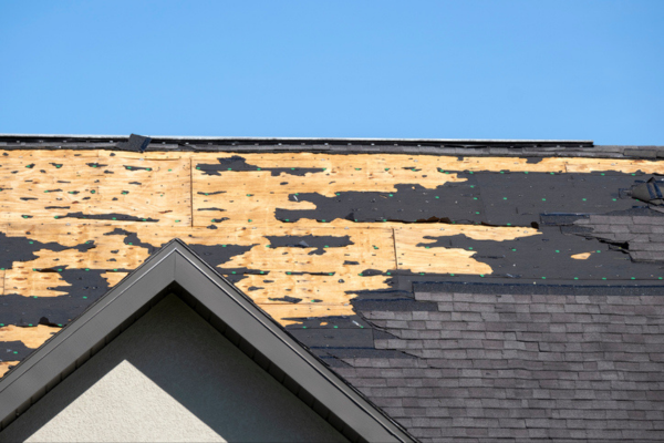 Exposed roof with damaged shingles and underlayment