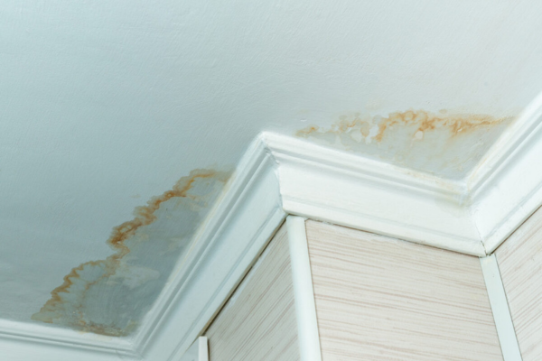 Stains and peeling paint on a ceiling caused by water damage to a house.