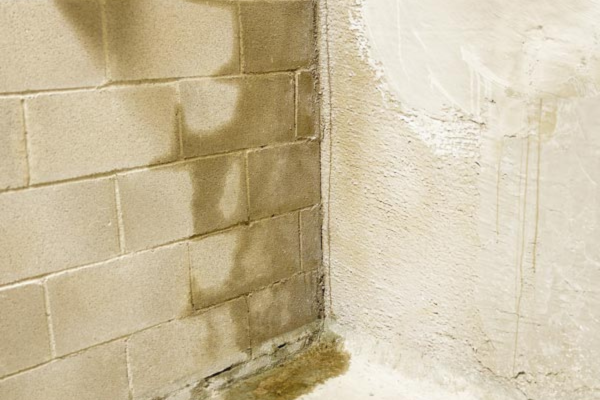 Water seeping through a concrete wall in the corner of a basement, causing discoloration and moisture buildup.