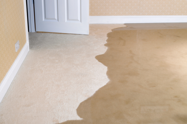 Water covering a beige carpet in a flooded living room.