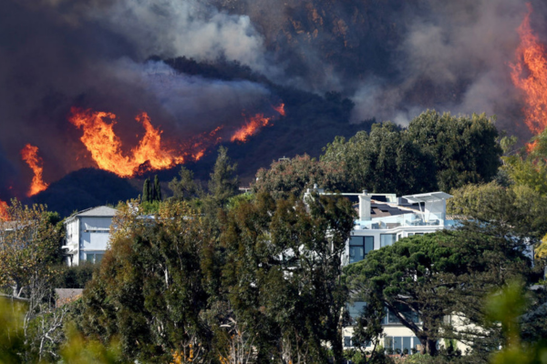 Flames approach homes in Pacific Palisades, surrounded by trees and thick smoke.