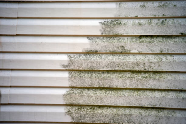 Green mold growing on white vinyl siding due to excess moisture.