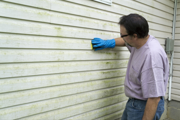 Man cleaning green mold from siding with a sponge while wearing gloves.